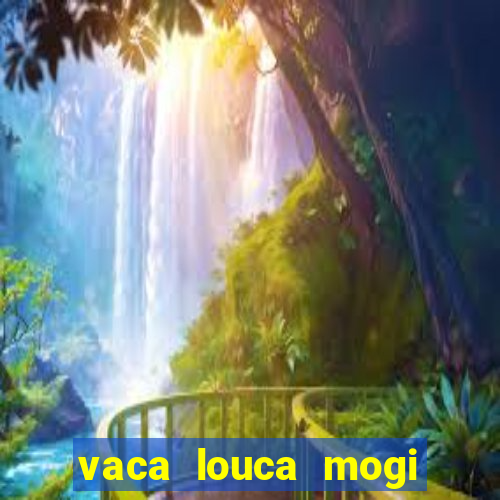 vaca louca mogi das cruzes